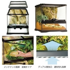 爬虫類ケージ 