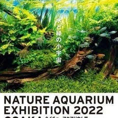 🐟🌱アクアリウム好き募集🌱🐟