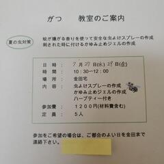 夏の虫対策