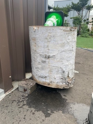 白樺切株　極太　丸太　値下げ