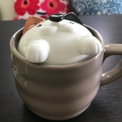 1合用炊飯マグの画像