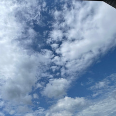 子連れ限定　遊び仲間募集