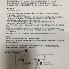 【お値下げします！】FUJI ROCK FESTIVAL'22　3日通し券＋キャンプサイト券の画像