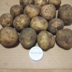 じゃがいも🥔はいかがでしょうか⁉️