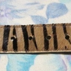 MEN'S MELROSE メンズメルローズ アニマル柄 ベルトの画像