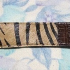 MEN'S MELROSE メンズメルローズ アニマル柄 ベルトの画像