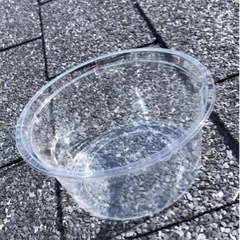 【値下げ】ウィローモス 水草 鑑賞魚の画像