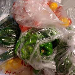 家庭菜園で取れた野菜