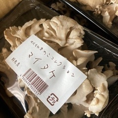 マイタケ　一箱　（20P入り❗️）の画像