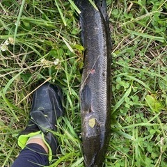 釣り仲間募集 − 長野県