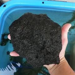 溶岩石（手のひら大サイズ）