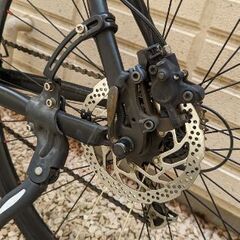 Bianchi（ビアンキ）カメレオンテ3の画像