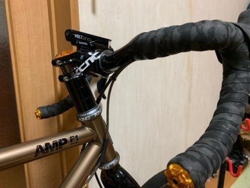 Tern amp f1  フルカスタム　ミニベロロード