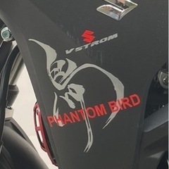 Vストローム用　鳥ステッカー　