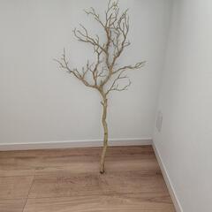 インテリア マンザニータ  ツリー