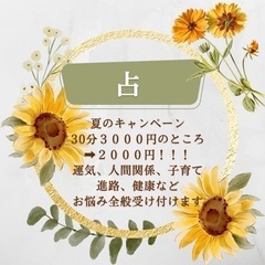 占い🔮夏のキャンペーン❣️🐉☀️🌻3000→2000円