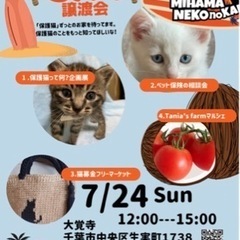 7/24  譲渡会　美浜ねこの会