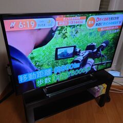 4K 43インチ 東芝REGZA 43J10