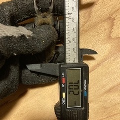 青森県産 超大型ミヤマクワガタ♂70.2mm