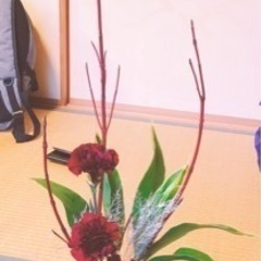 女性(40~↑)のお友達募集 - 友達