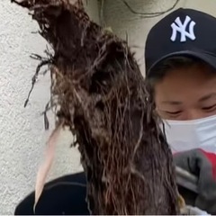 🌸大阪府大阪市の水道修理、工事業社🌸の画像