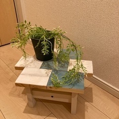 棚④
