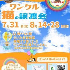 『とらちゃん本舗
保護猫譲渡会 inさいたま』