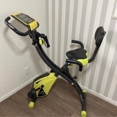 アルインコ  コンフォートバイク2 AFB4309GX