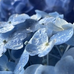 【写真・カメラ好きな方】撮影友達募集です☺︎