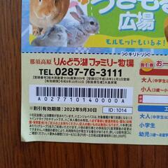 りんどう湖ファミリー牧場　割引券の画像