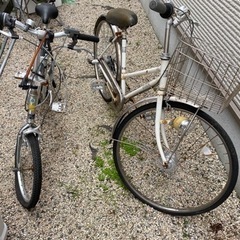 もらってください。