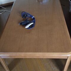こたつ敷きパッド掛け布団付３点セットです。