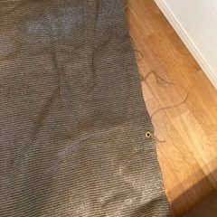 サンシェード　一度使用　日よけの画像