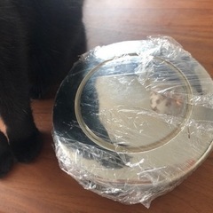 ホイールキャップの画像