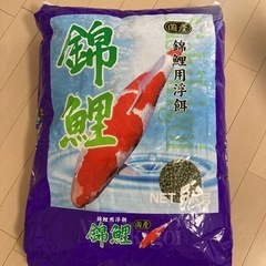 鯉の餌