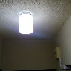 LED電球付玄関灯　天井取り付けの画像