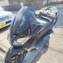 自賠付き！フォルツァZ　mf08型　