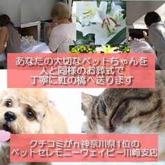 クチコミが神奈川県1位の高評価ペット葬儀社　ペットセレモニーウェイビー川崎支店の画像