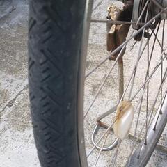 ブリジストン自転車の画像