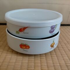陶器（プラスチックふたつき）