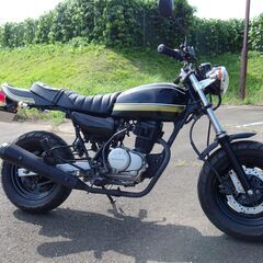 HONDA　APE エイプ100 エイプ50　Z2風カスタム　茨...