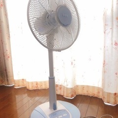 Iwatani 扇風機