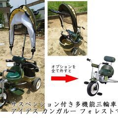 No, 109  アイギス　サスペンション付多機能三輪車　カンガ...