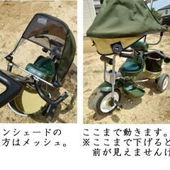 No, 109  アイギス　サスペンション付多機能三輪車　カンガルー　フォレストの画像