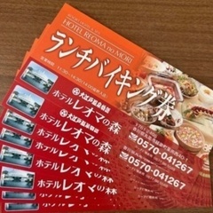 レオマワールド  バイキングチケット☺️残り2枚です✨