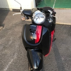 ホンダ　ジョルノ50の画像