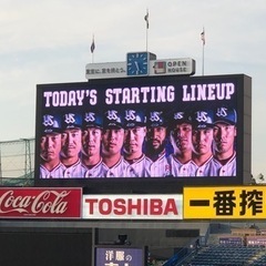 ヤクルトLINEグルチャメンバー大募集‼️‼️  - 新宿区