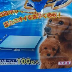 ワンちゃんセット差し上げます。リードとペットシーツの画像