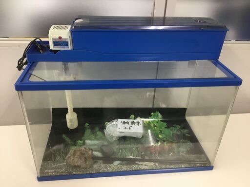 【美品】水槽一式　「近隣お届け無料」