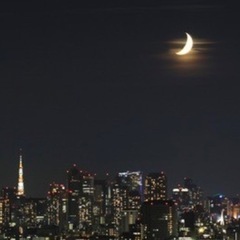 夜🌙*.｡★*ﾟ勤務してる女の子友達ⓕⓡⓘⓔⓝⓓⓢ
